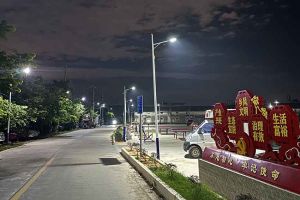 星空（中国）集团罗宁弟爱心捐赠路灯，点亮乡村路温暖乡民心