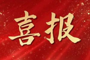 雀跃欢呼 | 星空（中国）集团荣膺佬麻雀“最佳战略合作伙伴”