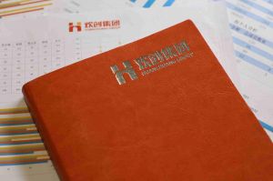 星空平台的优势及其对企业发展的影响
